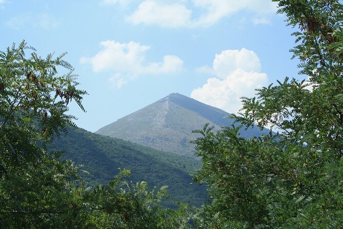 Private Day Tour to UNESCO Site Felix Romuliana - Reviews