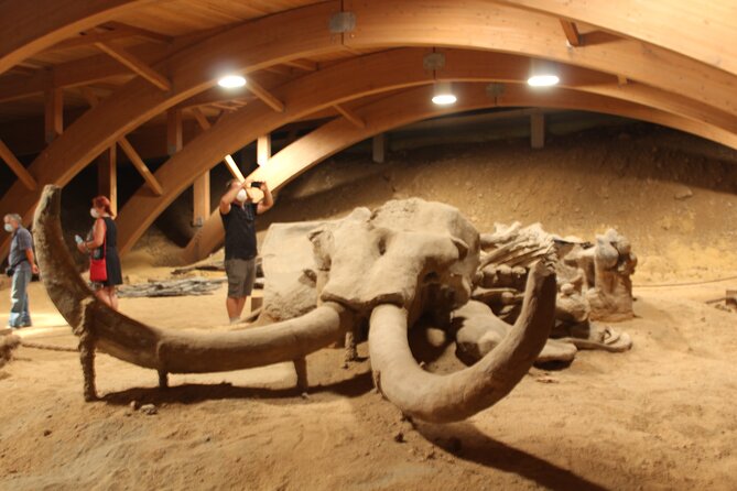 Private Day Tour to Viminacium and Smederevo Fortress - Customer Reviews