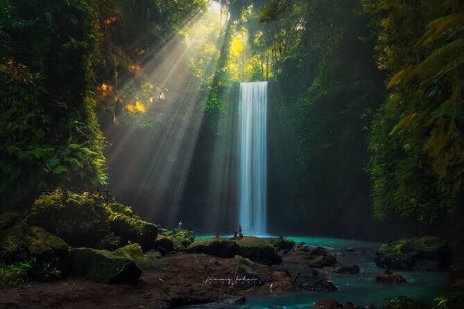 Private Day Tour To Waterfalls And Ubud Sightseeing - Exploring the Itinerary: What You Can Expect