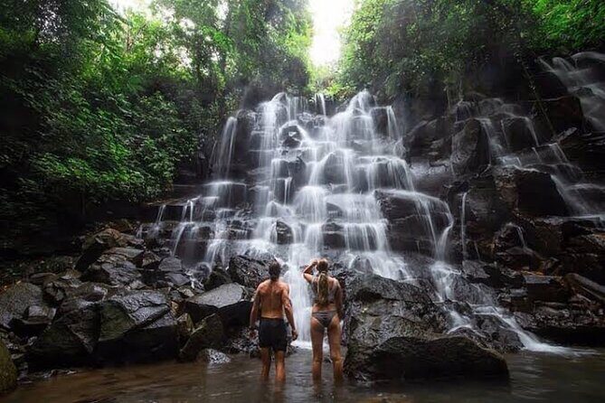 Private Day Tour To Waterfalls And Ubud Sightseeing - A Deep Dive Into This Ubud Waterfalls and Sightseeing Tour