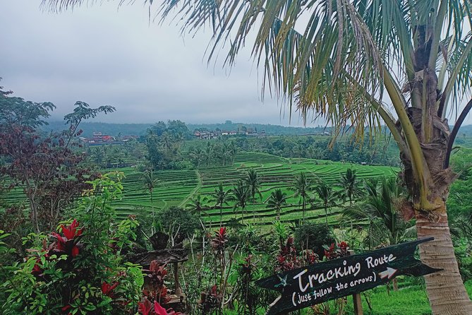 Private Day Tour to Waterfalls, Rice Terraces & Temples, Bali (Feb ) - Tour Highlights