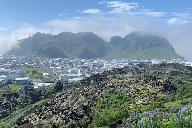 Private Day Tour to Westman Island With Pick up - Itinerary Overview