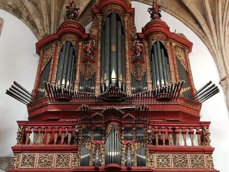 Private Day Tour University Coimbra & Convent Christ Tomar - Practical Details and Value