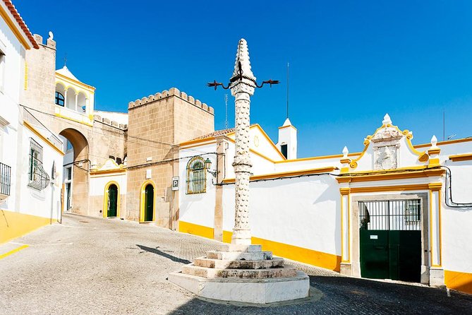 Private Day Tour With a Private Guide - Évora, Monsaraz Wine & Cork - Traveler Photos and Reviews