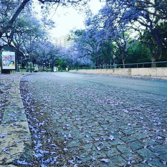 Private Day Tour With Airport Transfer Available - Experience and Customization