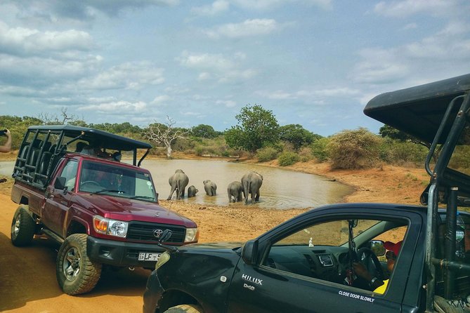 Private Day Tour: Yala National Park Safari Tour From Galle & Weligama - Traveler Tips