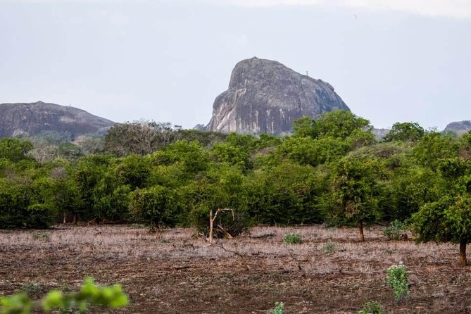 Private Day Tour: Yala National Park Safari Tour From Galle & Weligama - Questions and Support