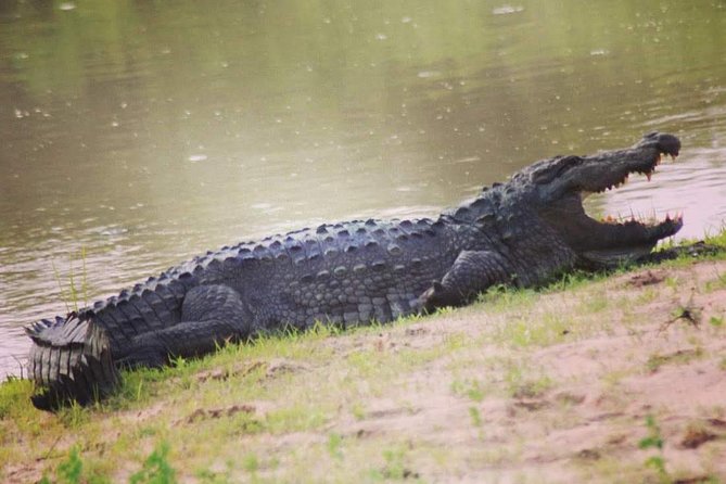 Private Day Tour: Yala National Park Safari Tour From Galle & Weligama - Pricing and Value