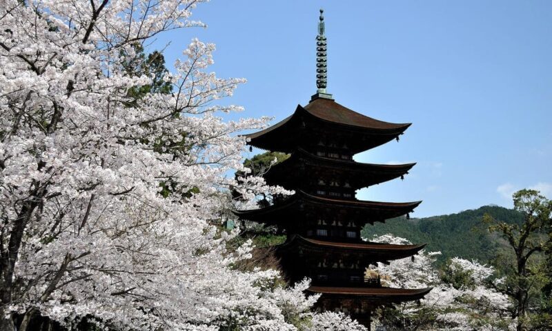 Private Day Trip around Yamaguchi City from Fukuoka with bus - Good To Know  