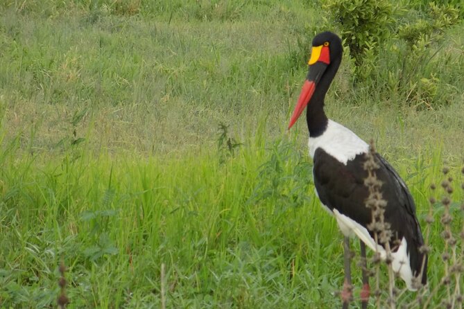 Private Day Trip at Arusha National Park - The Sum Up