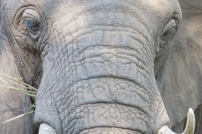 Private Day Trip at Lake Manyara National Park - Inclusions and Exclusions