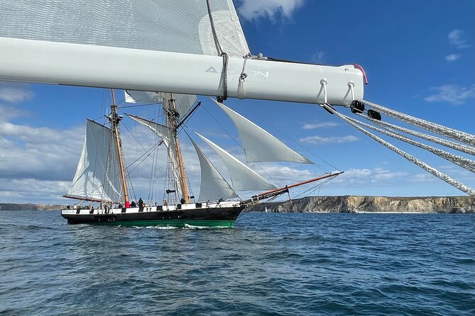 Private Day Trip at Sea Sailing - The Sum Up