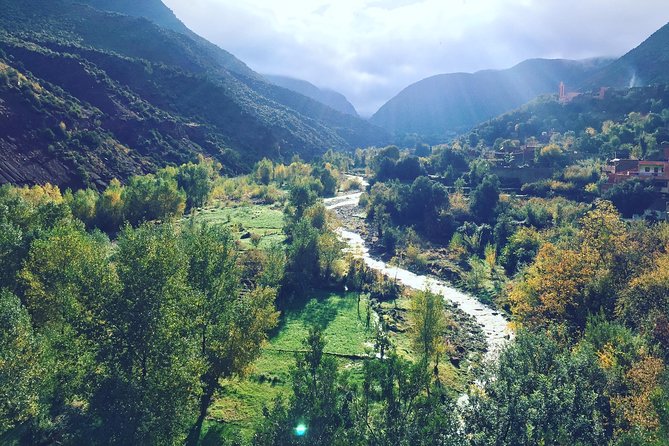 Private Day Trip Atlas Mountains and 5 Valleys -All Inclusive- - Traveler Photos and Reviews