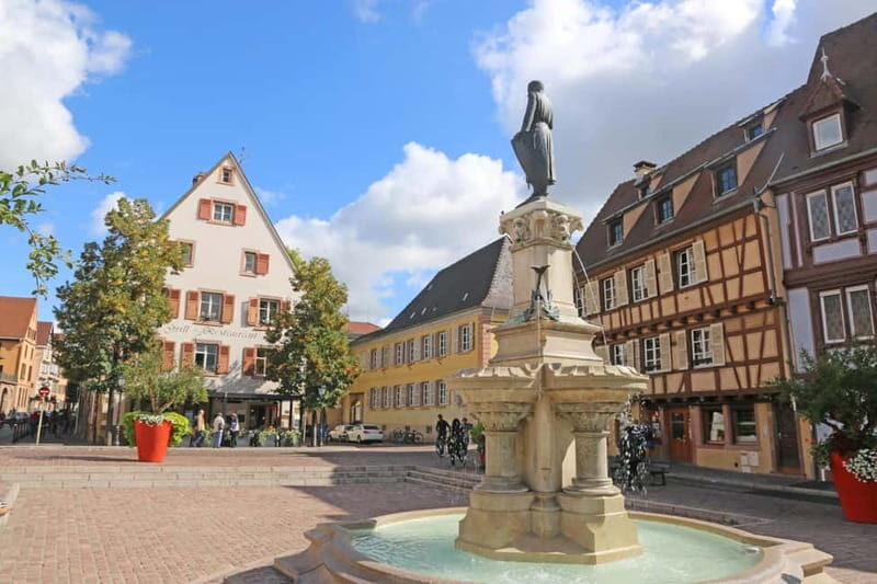 Private day trip: Basel to Alsace Wine Region, local driver - FAQ