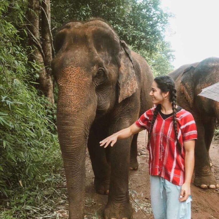 Private Day Trip Doi Inthanon, Trekking, Elephant Sanctuary - Exploring Doi Inthanon National Park