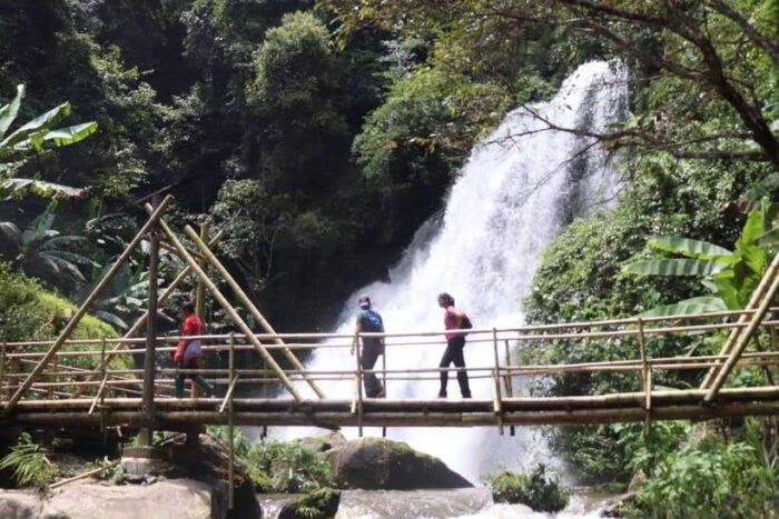 Private Day Trip Doi Inthanon, Trekking, Elephant Sanctuary - Experiencing the Elephant Sanctuary