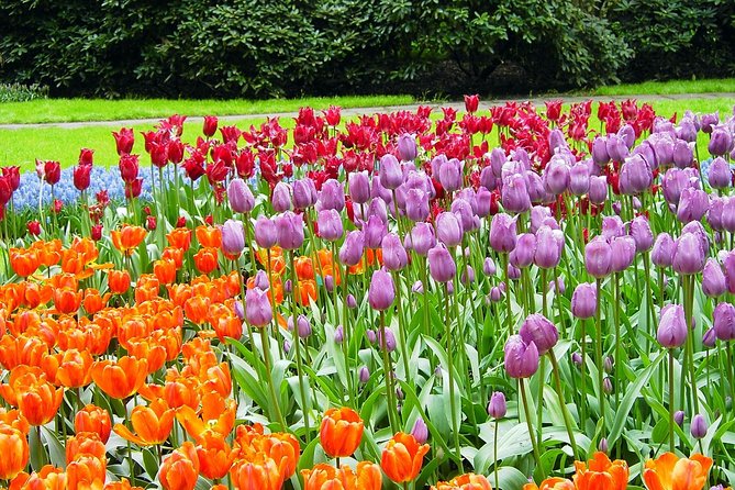 Private Day Trip From Amsterdam to Keukenhof With Entrance Tickets - Tour Details