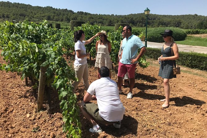 Private Day Trip From Barcelona to Montserrat - Traveler Photos of Montserrat