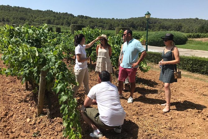 Private Day Trip From Barcelona to Montserrat - Terms & Conditions for the Tour