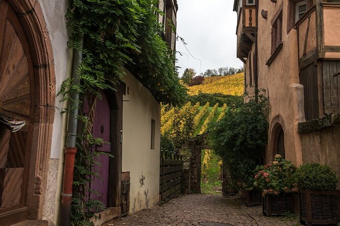 Private Day Trip From Basel to Alsace Wine Region, Local Driver - Logistics and Accessibility