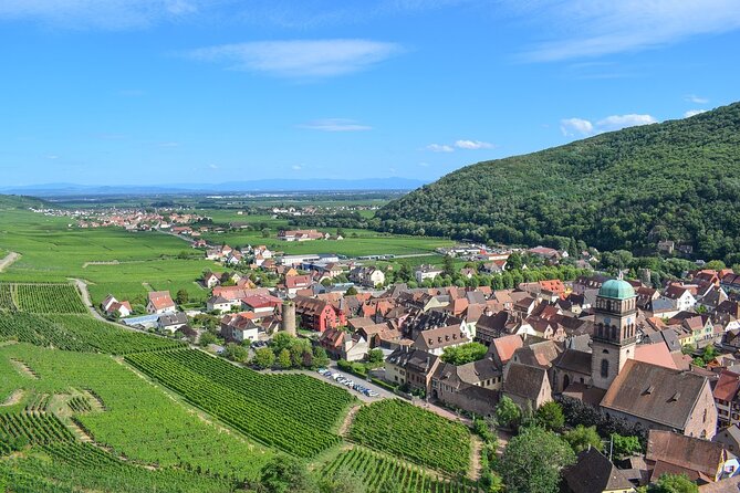Private Day Trip From Basel to Alsace Wine Region, Local Driver - Frequently Asked Questions