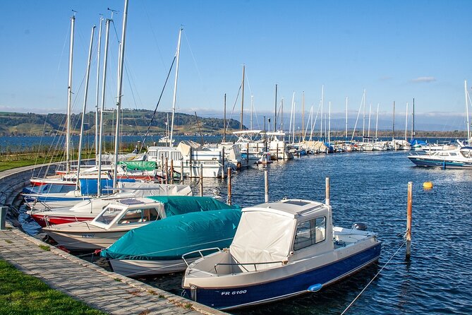 Private Day Trip From Basel to Bern and Murten With Local Driver - Reservation Policy