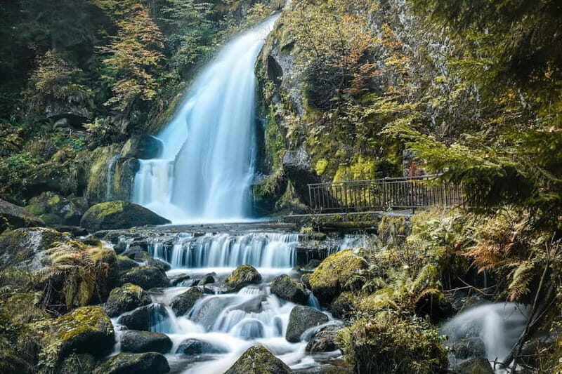 Private day trip from Basel to the Black forest and back - Who Should Consider This Tour?