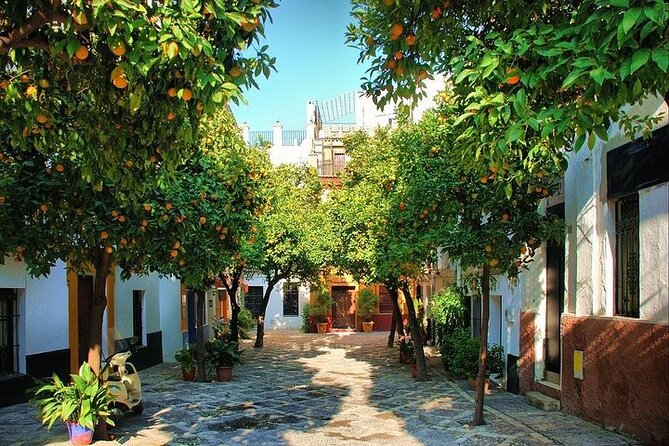 Private Day Trip From Cadiz Port to Seville (Tickets and Transport Included) - Terms and Conditions