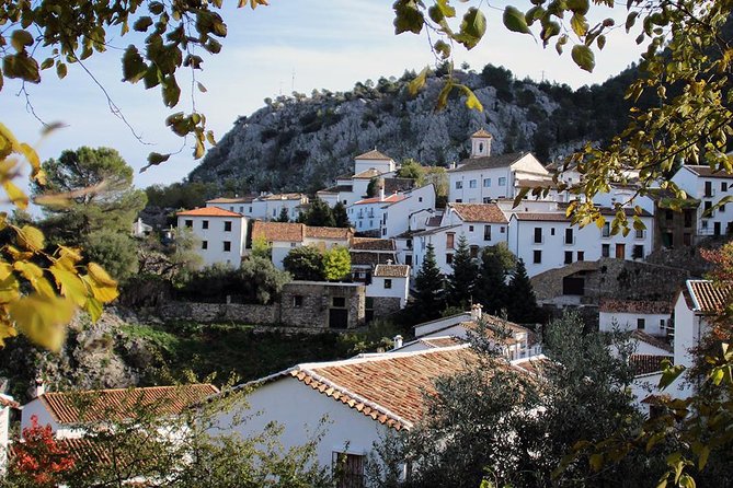 *Private Day Trip* From Cádiz: the White Towns of Andalusia - Benefits of a Private Day Trip