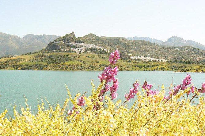 *Private Day Trip* From Cádiz: the White Towns of Andalusia - Common Questions