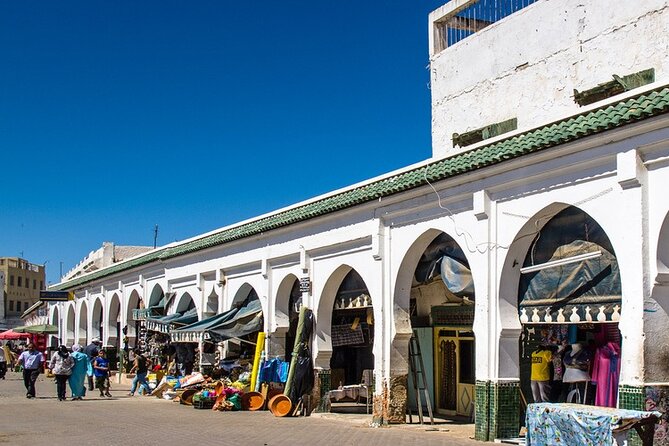 Private Day Trip From Fez to Volubilis and Meknes (Without Shopping) - Positive Reviews