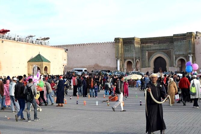 Private Day Trip From Fez to Volubilis and Meknes (Without Shopping) - Additional Information