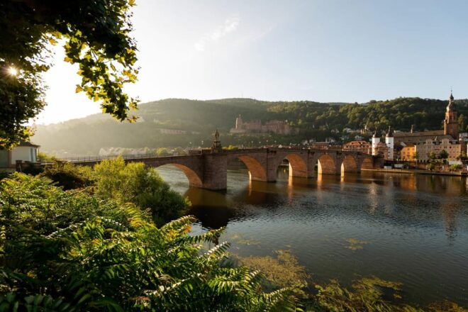 Private Day Trip From Frankfurt to Heidelberg and Back - Included Amenities