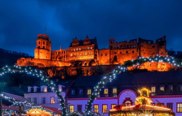 Private Day Trip From Frankfurt to Heidelberg and Back - Accessibility Features