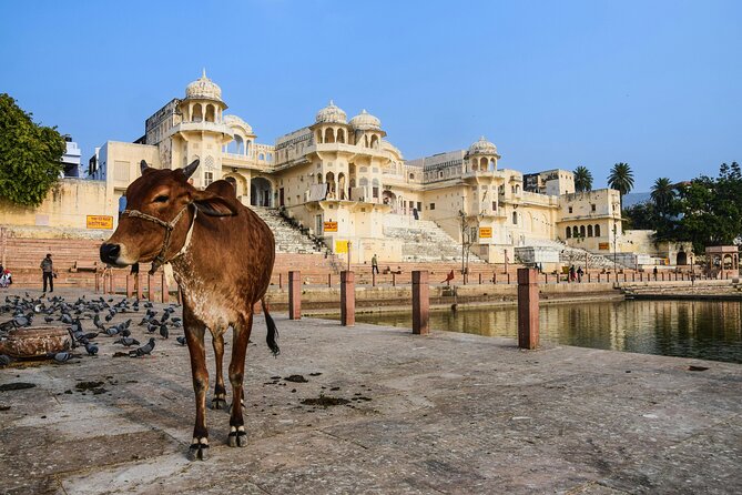 Private Day Trip From Jaipur to Ajmer & Pushkar - The Sum Up