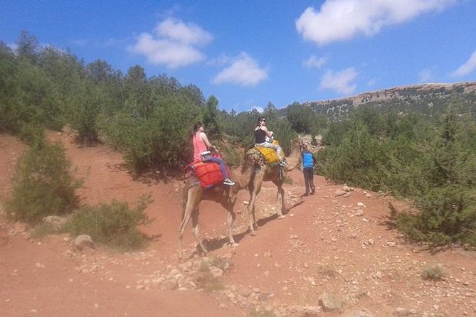 Private Day Trip From Marrakech: Camel Ride and Hike in the High Atlas Mountains - Good To Know
