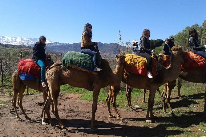 Private Day Trip From Marrakech: Camel Ride and Hike in the High Atlas Mountains - Inclusions