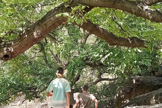 Private Day Trip From Marrakech to Atlas Mountains - Good To Know