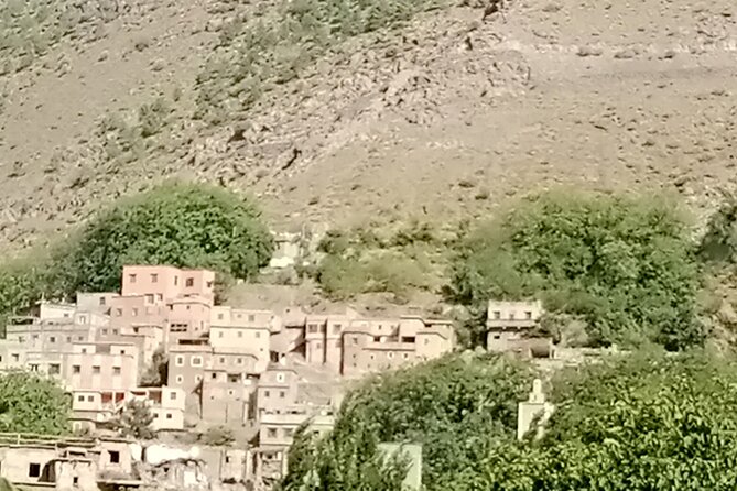 Private Day Trip From Marrakech to Atlas Mountains - What To Expect