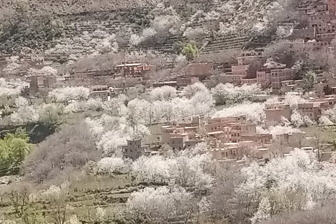 Private Day Trip From Marrakech to Atlas Mountains - Cancellation Policy