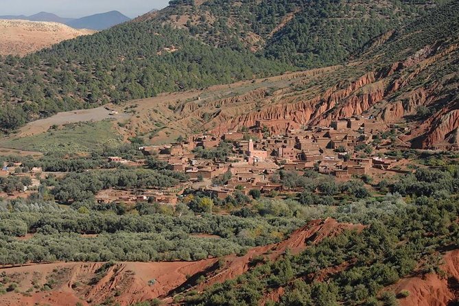 Private Day Trip From Marrakech to Atlas Mountains - Reviews and Ratings