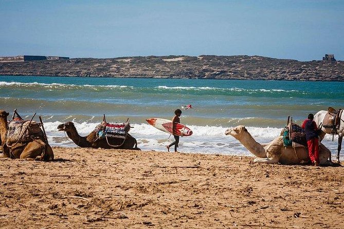 Private Day Trip From Marrakech to Essaouira - What To Expect