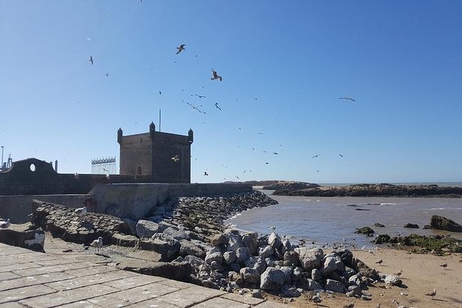 Private Day Trip From Marrakech to Essaouira - Destination Overview