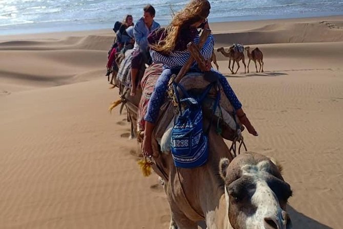 Private Day Trip From Marrakech to Essaouira - Transportation and Logistics