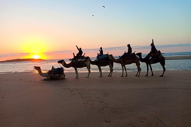 Private Day Trip From Marrakech to Essaouira - Tour Itinerary