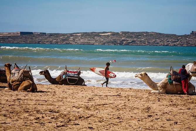Private Day Trip From Marrakech to Essaouira (Mogador) With Lunch - Cancellation Policy