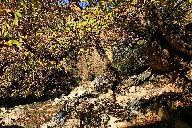 Private Day Trip From Marrakech to Ourika Valley - Stunning Traveler Photos