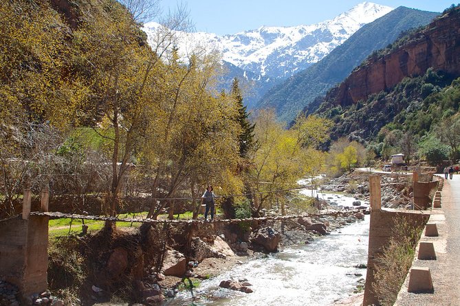 Private Day Trip From Marrakech to Ourika Valley Waterfalls in (All Inclusive) - Trip Highlights