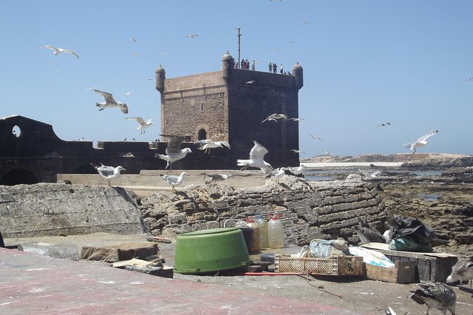 Private Day Trip From Marrakesh to Essaouira Beach and the Fortified Medina - Directions