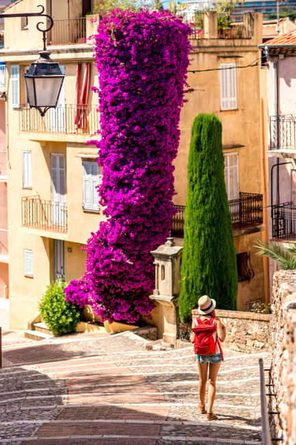 Private day trip from Monaco to the gems of French Riviera - What to Expect from This French Riviera Private Day Trip